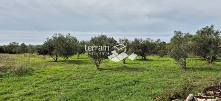 Zemljište na prodaju 4546 m² – Galižana