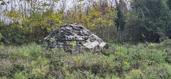 Terreno In vendita - Istarska Vodnjan - foto 2/6
