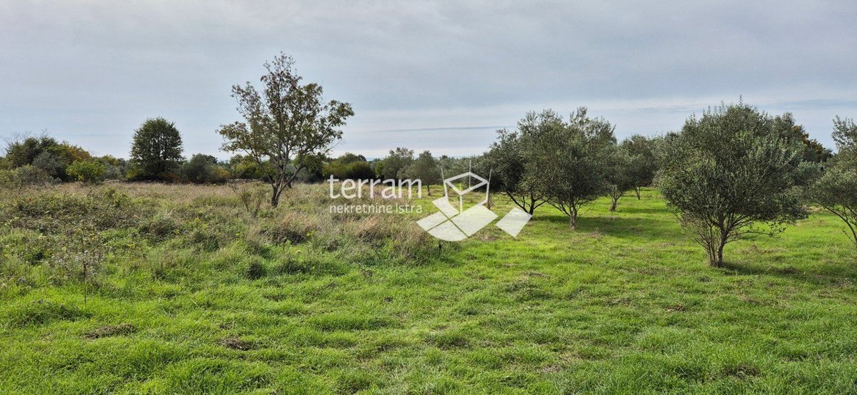 Land For sale - ISTARSKA VODNJAN