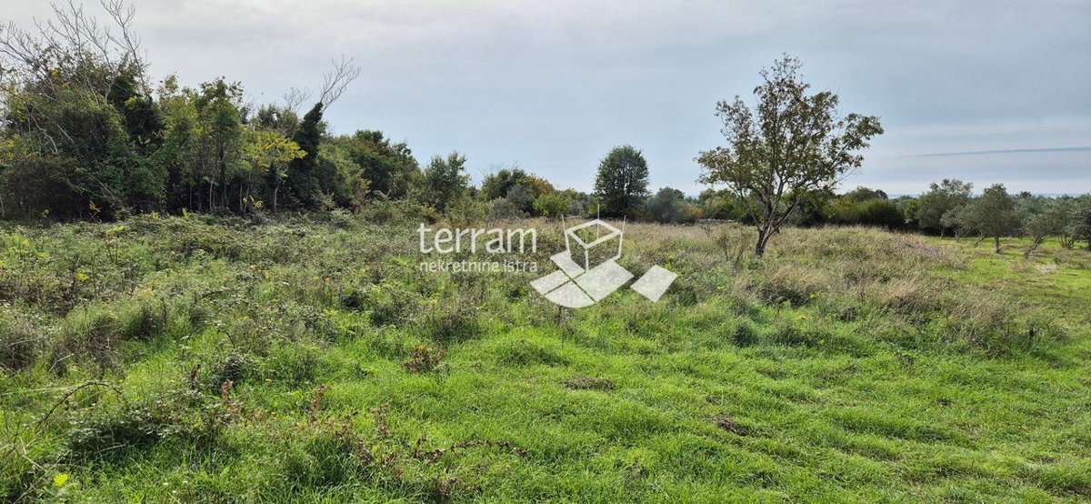 Land For sale - ISTARSKA VODNJAN