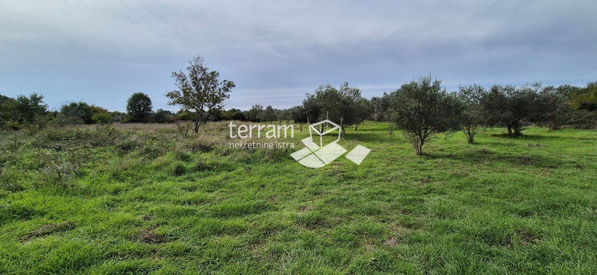 Land For sale - ISTARSKA VODNJAN