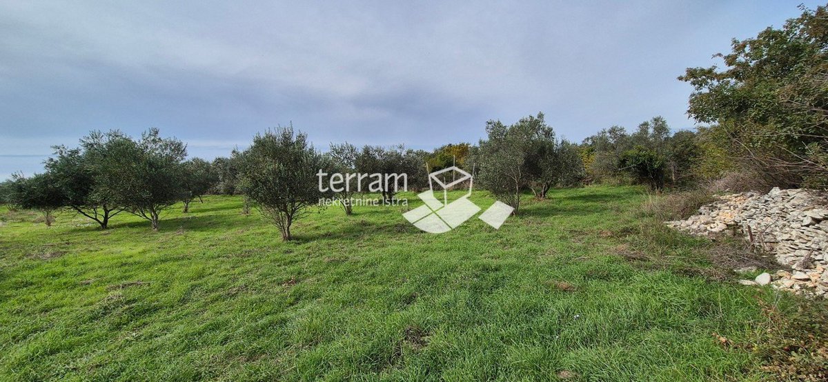 Land For sale - ISTARSKA VODNJAN