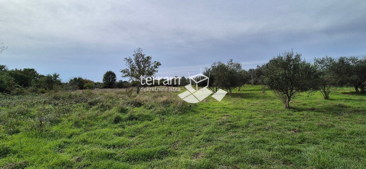 Land For sale - ISTARSKA VODNJAN