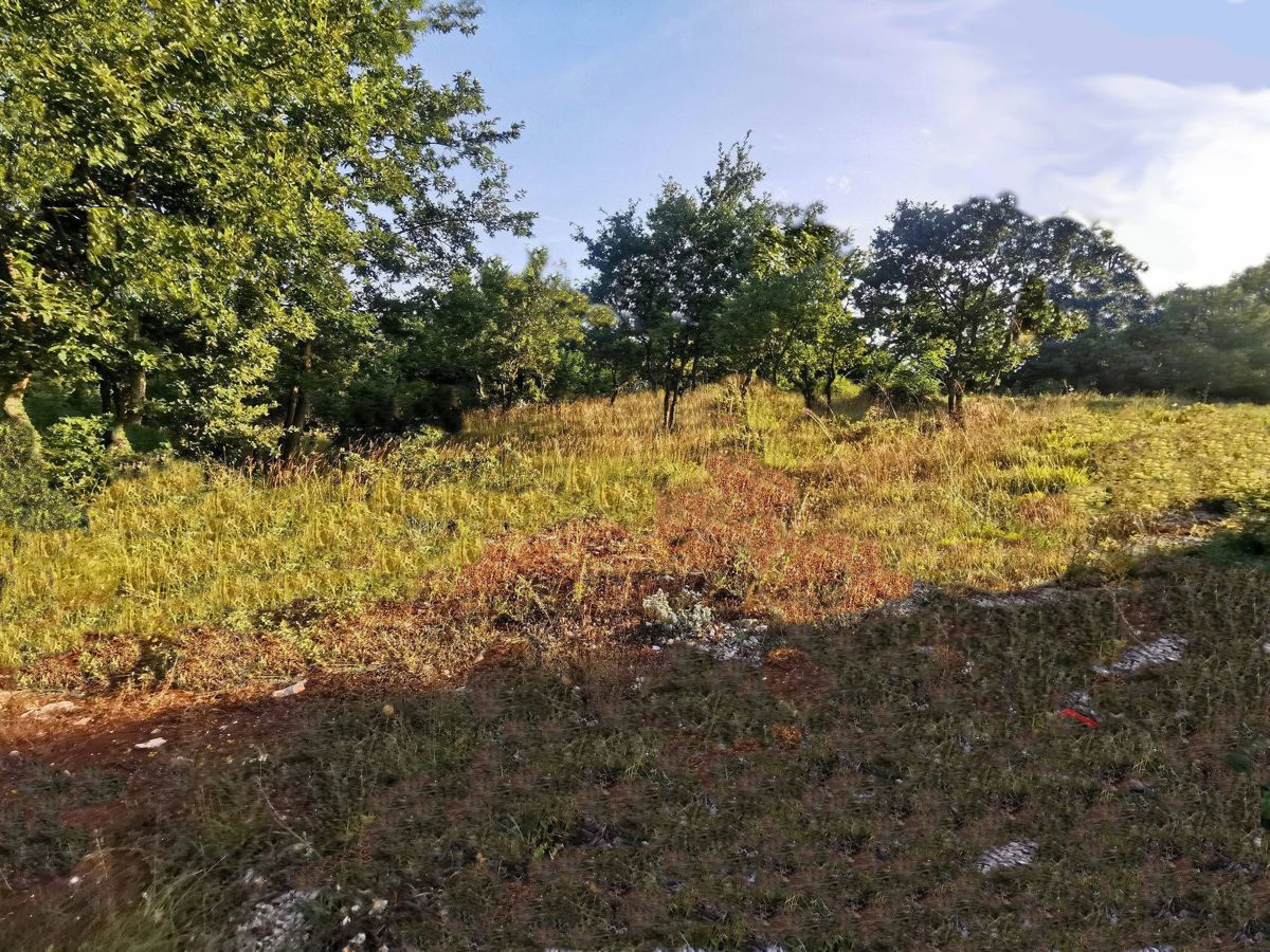 Land For sale - ISTARSKA SVETVINČENAT