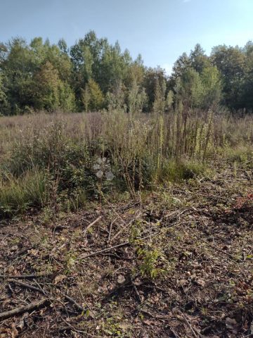 Terrain à vendre 44787 m² – Ostrožin
