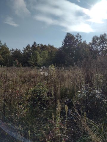 Terreno In vendita - Sisačko-moslavačka Gvozd - foto 2/7