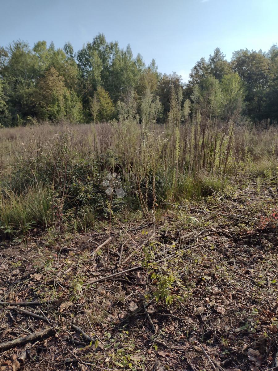 Terreno In vendita OSTROŽIN