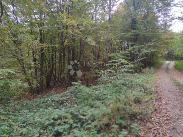Terreno In vendita - Sisačko-moslavačka Gvozd - foto 5/8
