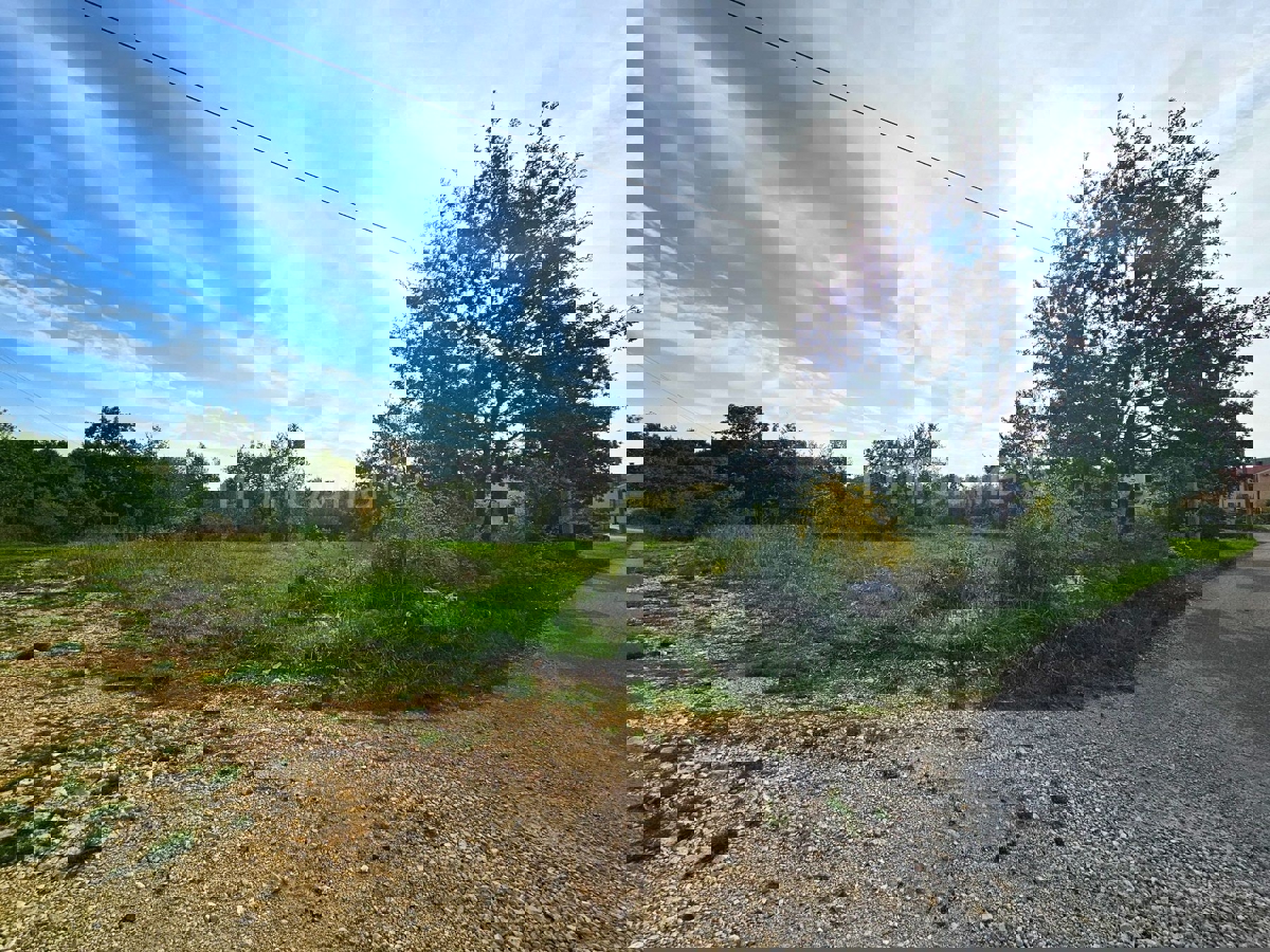Terreno In vendita