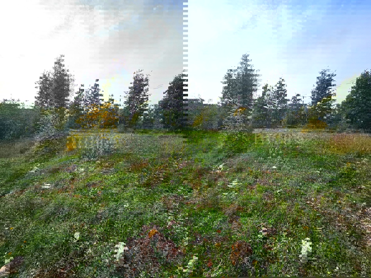 Terreno In vendita - ISTARSKA SVETVINČENAT