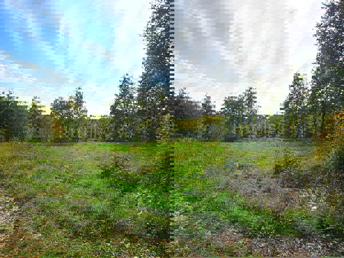 Terreno In vendita - ISTARSKA SVETVINČENAT