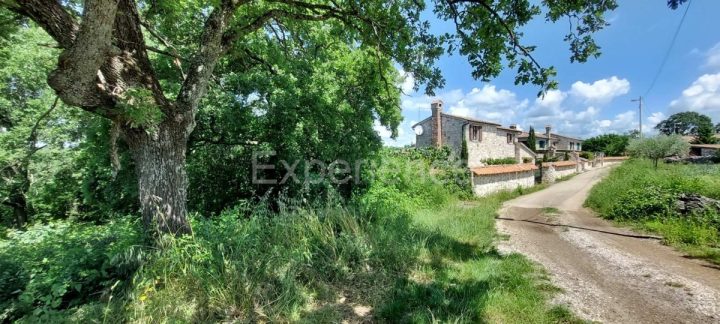 Terrain à vendre 2331 m² – Sveti Lovreč Pazenatički