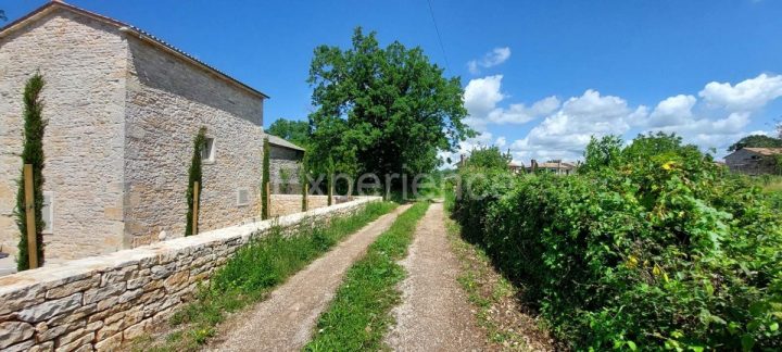 Parcela Naprodaj - Istarska Sveti Lovreč - foto 2/8