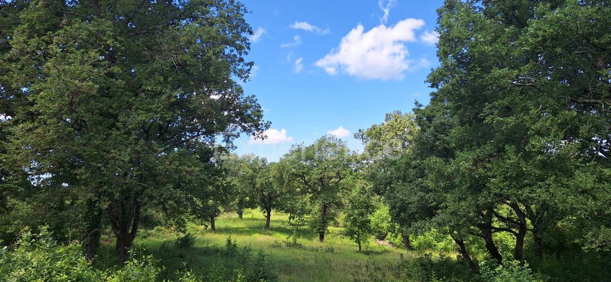 Pozemok Na predaj - ISTARSKA SVETI LOVREČ