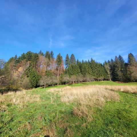Parcela na predaj 2971 m² – Brod Moravice