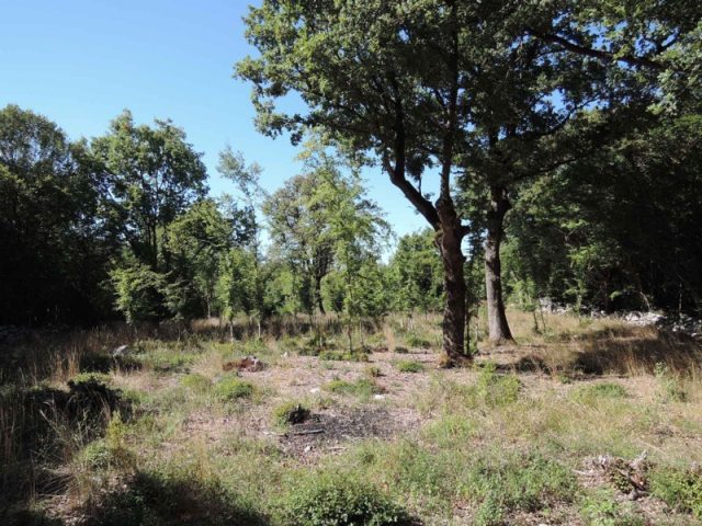 Pozemok na predaj 12640 m² – Krk