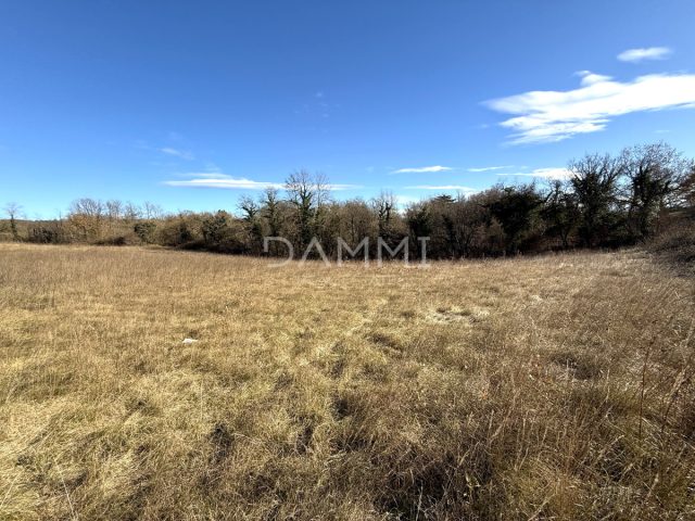 Parcela na predaj 3000 m² – Žminj