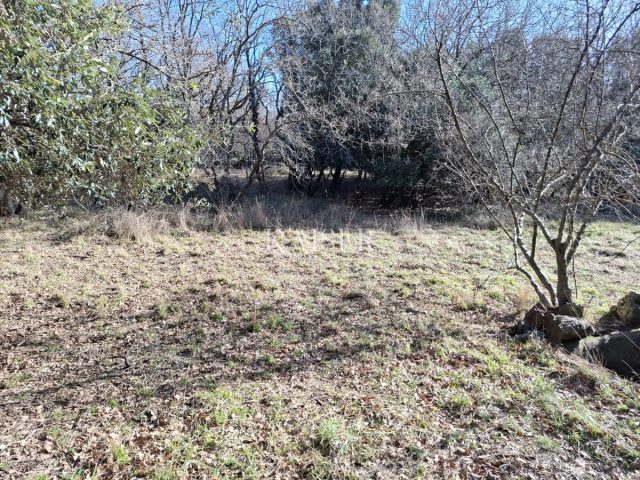 Parcela na predaj 12730 m² – Belej