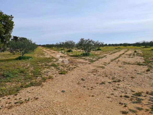 Land For rent - Zadarska Sveti Filip I Jakov - foto 2/2
