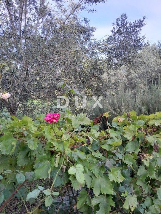 House For sale - ZADARSKA UGLJAN