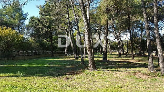 Parcela Na predaj - Istarska Rovinj - foto 5/10