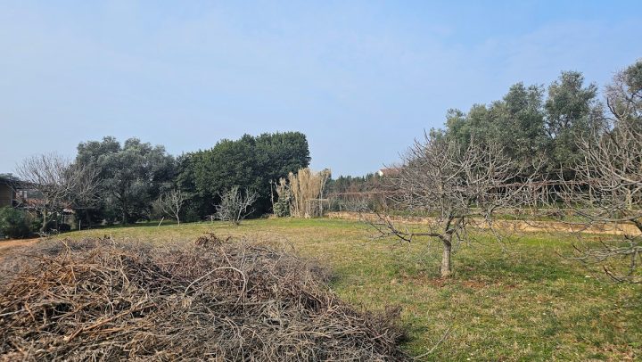Pozemek na prodej 1598 m² – Umag