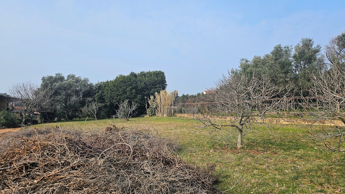 Terreno In vendita UMAG