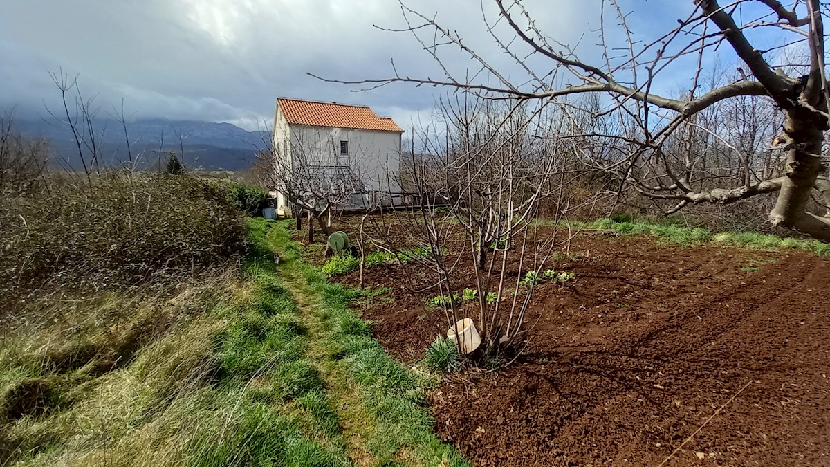 Casa In vendita - Splitsko-dalmatinska Dicmo - foto 5/20