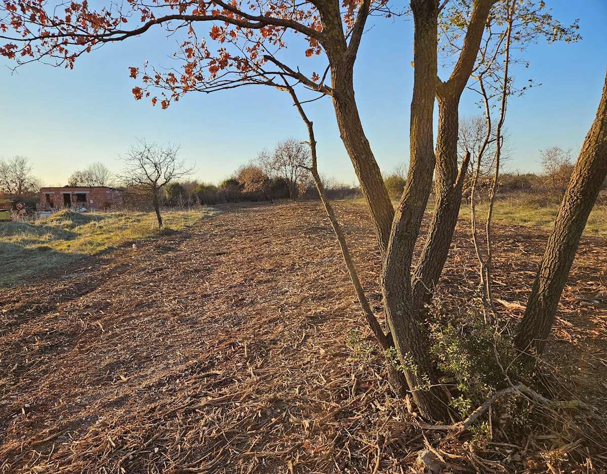 Terrain À vendre - Istarska Marčana - foto 2/2