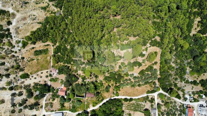 Hiša Naprodaj - Dubrovačko-neretvanska Orebić - foto 4/22