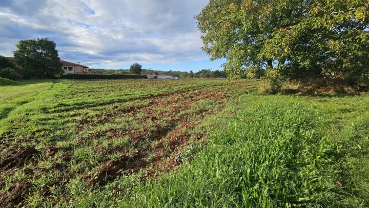 Land for sale 2357 m² – Vižinada