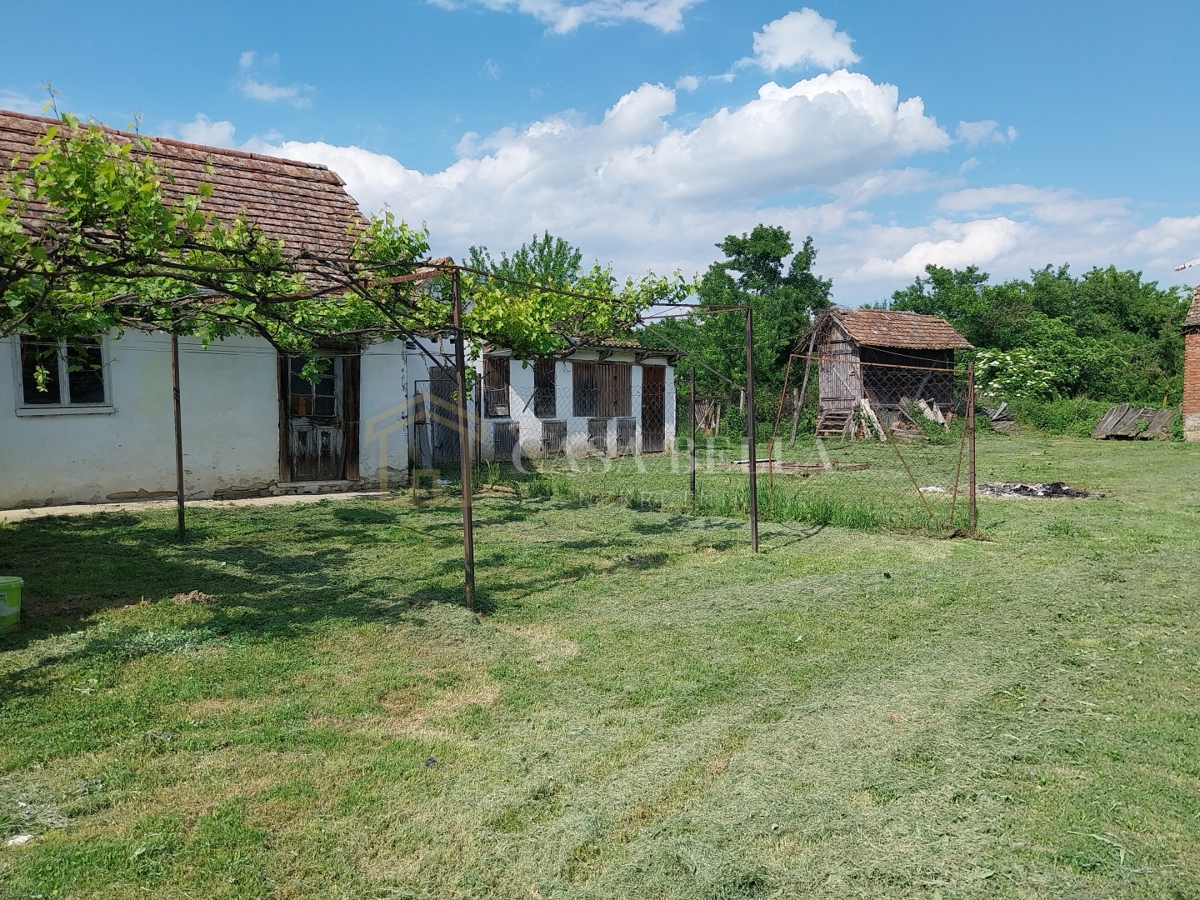 Maison À vendre - Osječko-baranjska Marijanci - foto 4/16