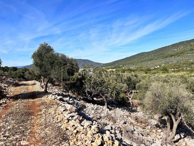 Pozemok na predaj – Cres