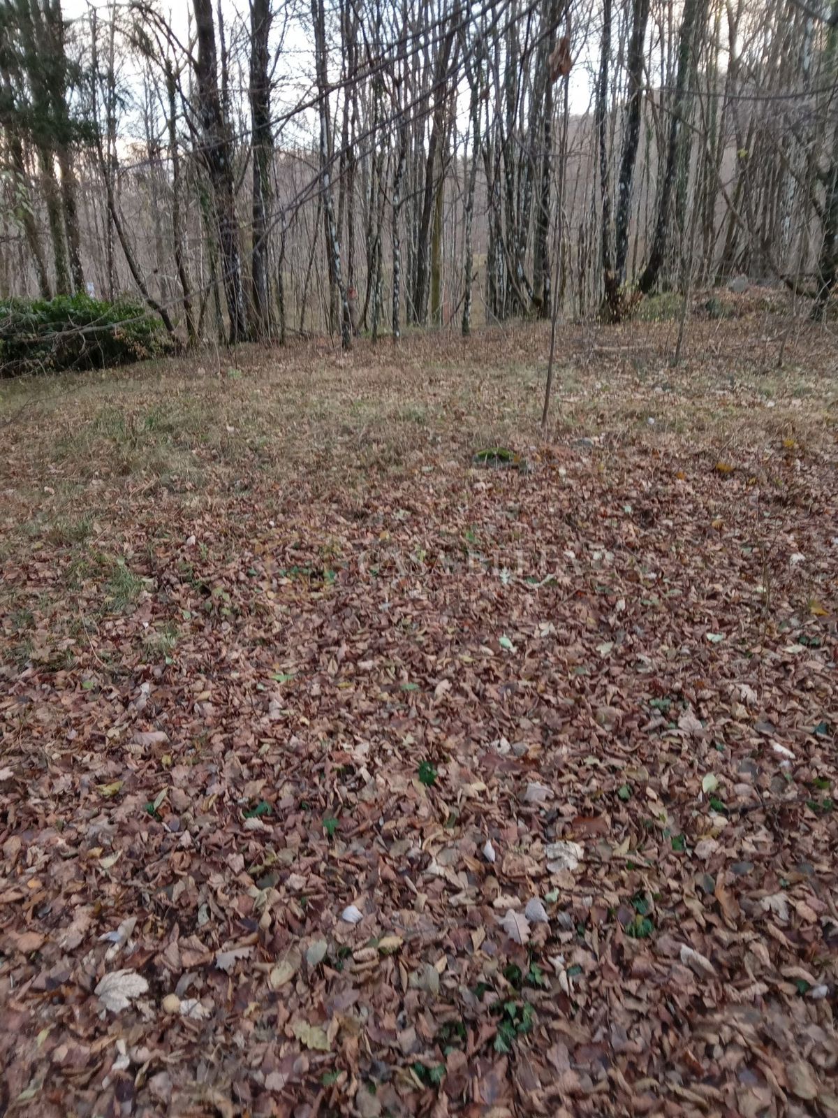 Parcela Na predaj - Primorsko-goranska Matulji - foto 1/2