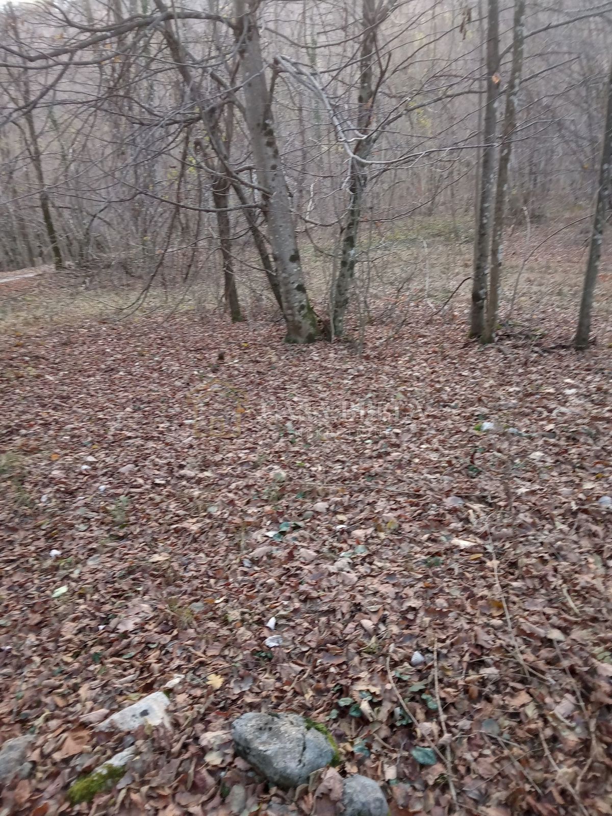 Parcela Na predaj - Primorsko-goranska Matulji - foto 2/2