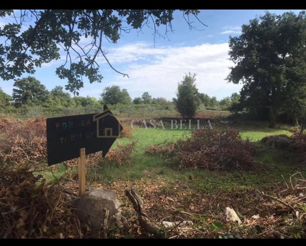 Land For sale - Istarska žminj - foto 3/4