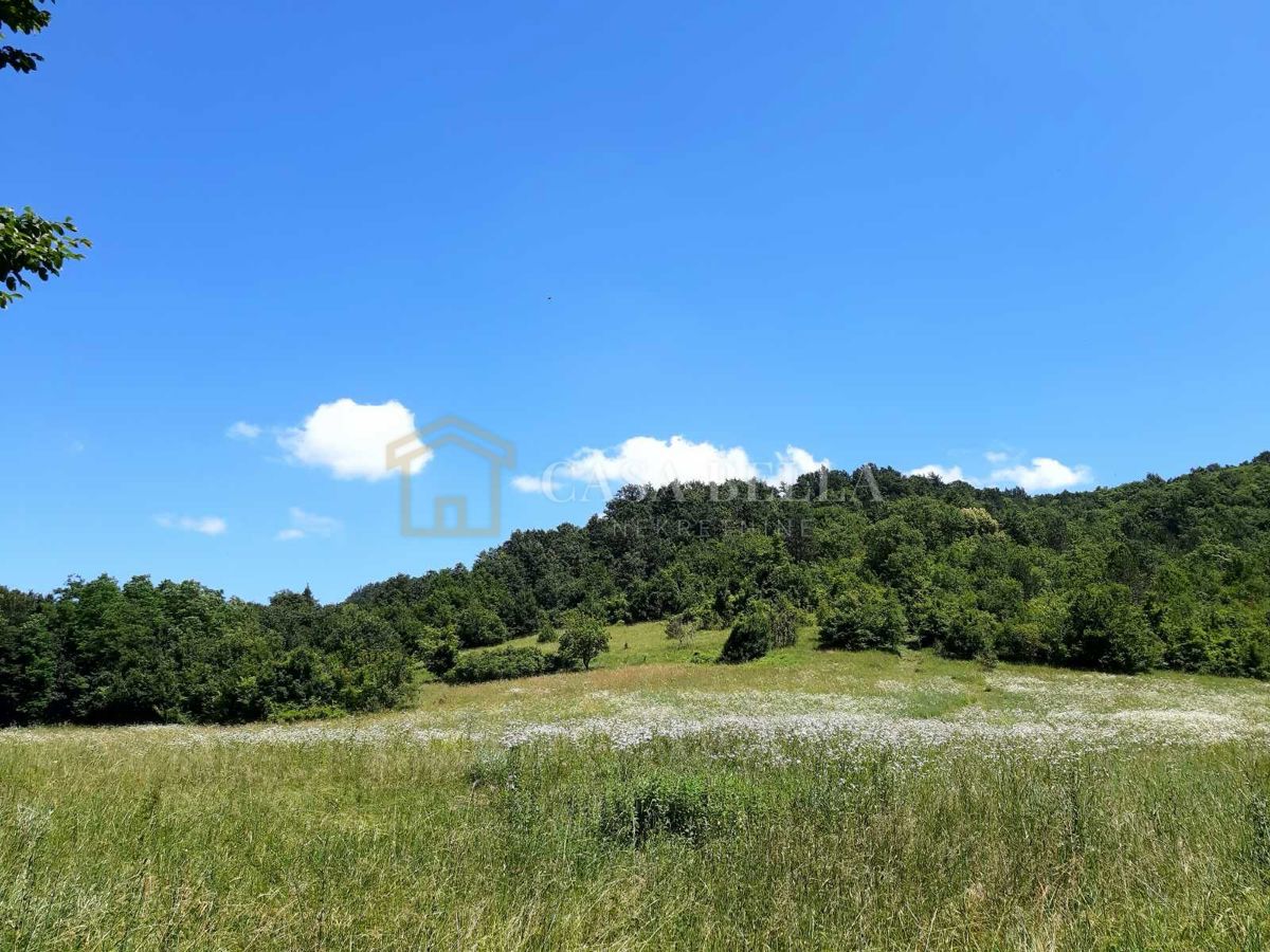 Parcela Na predaj - ISTARSKA PAZIN
