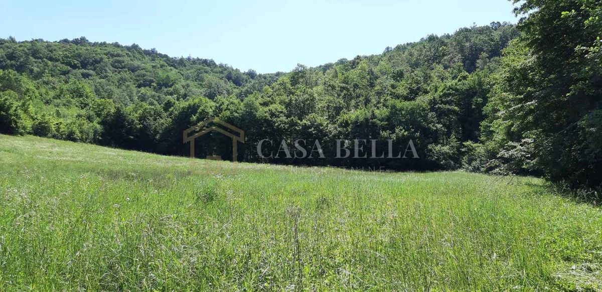 Parcela Na predaj - ISTARSKA PAZIN