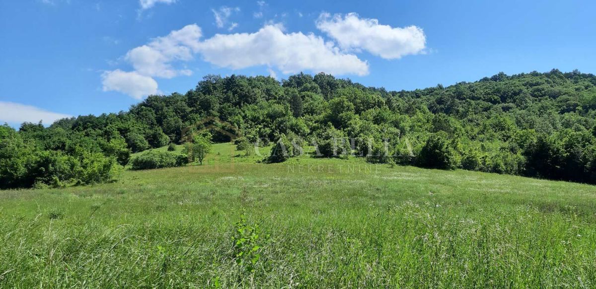 Parcela Na predaj - ISTARSKA PAZIN