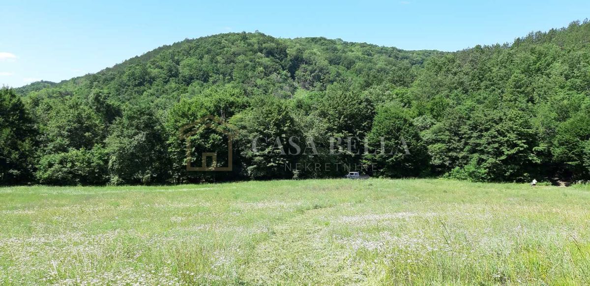 Parcela Na predaj - ISTARSKA PAZIN