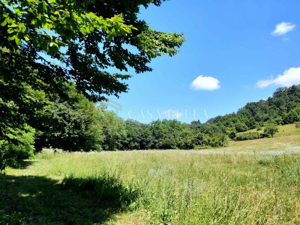 Parcela Na predaj - ISTARSKA PAZIN