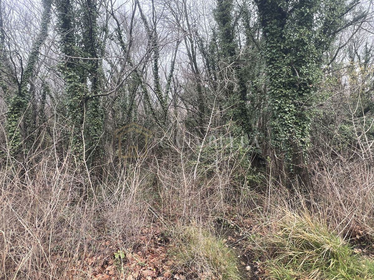 Terreno In vendita - Primorsko-goranska Vinodolska Općina - foto 3/4