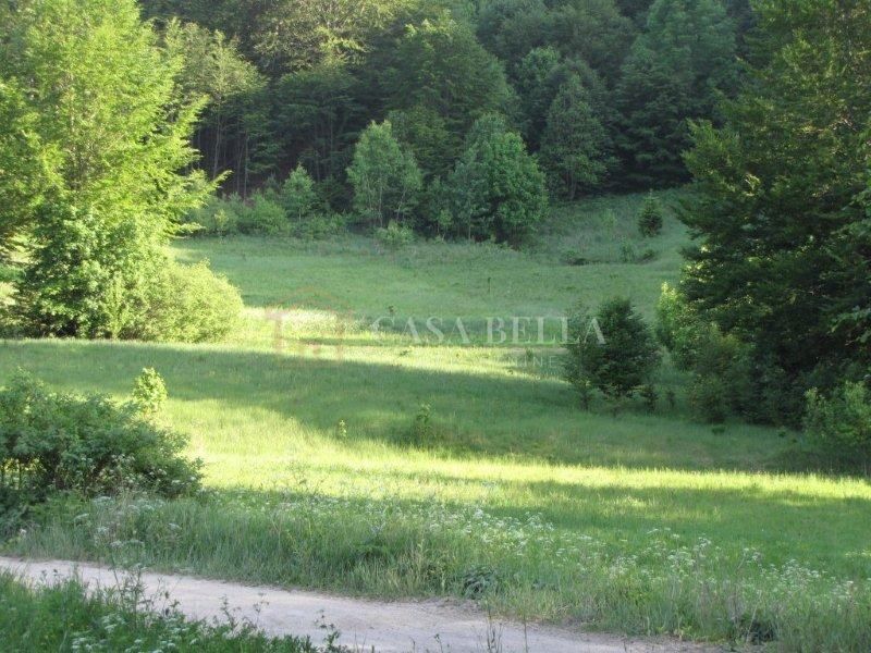 Grundstück Zu verkaufen - Primorsko-goranska Fužine - foto 2/5