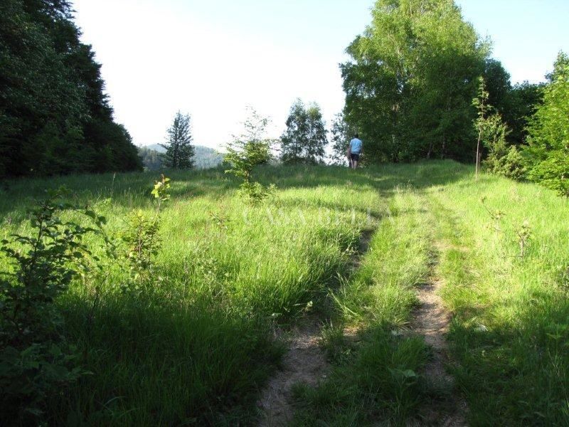 Grundstück Zu verkaufen - Primorsko-goranska Fužine - foto 4/5