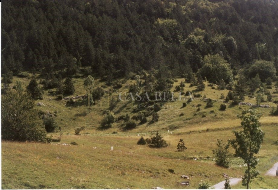 Land For sale SENJ
