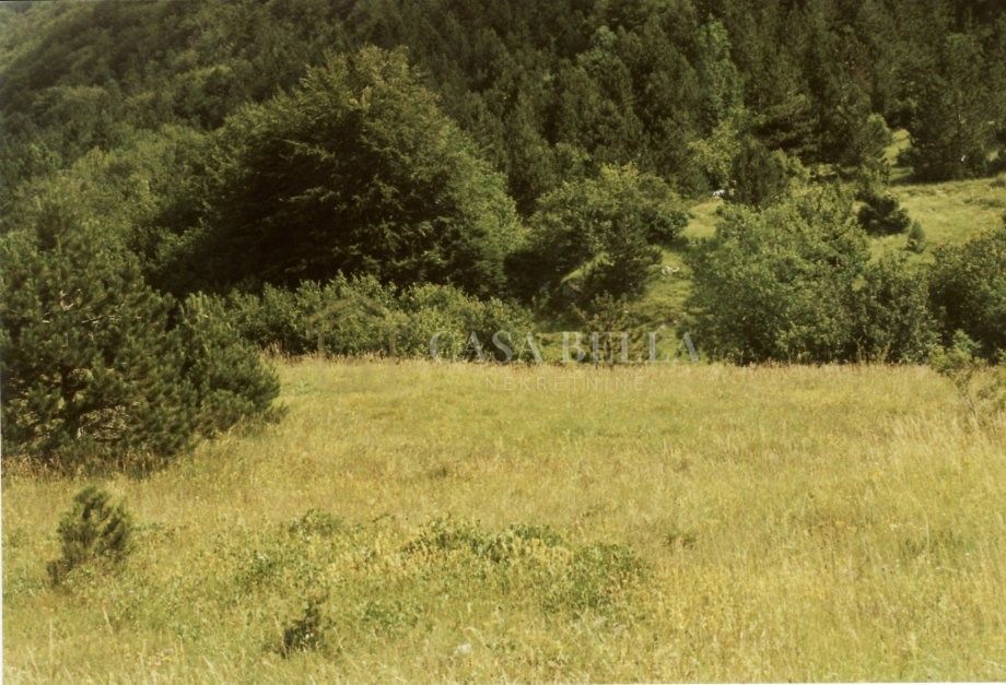 Land For sale - LIČKO-SENJSKA SENJ
