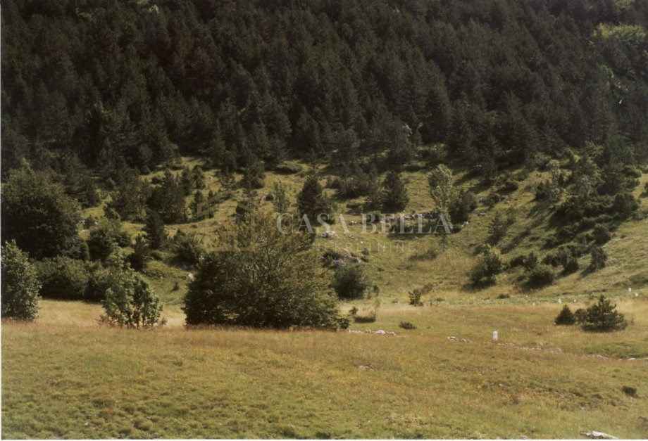 Land For sale - LIČKO-SENJSKA SENJ