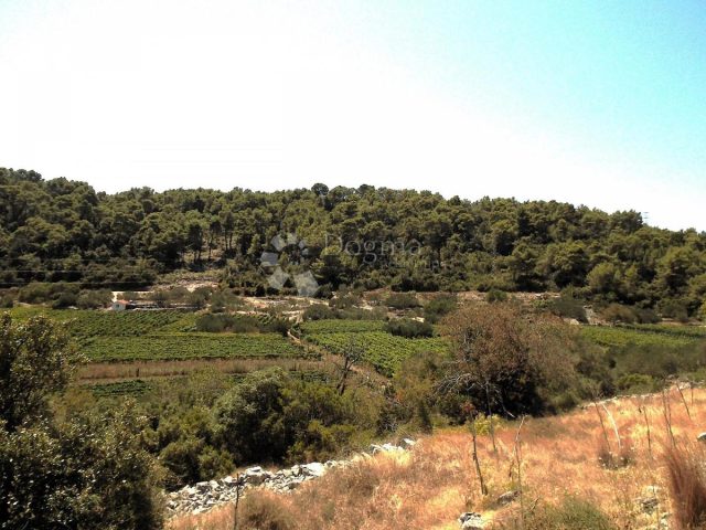 Terreno In vendita - Dubrovačko-neretvanska Korčula - foto 4/6