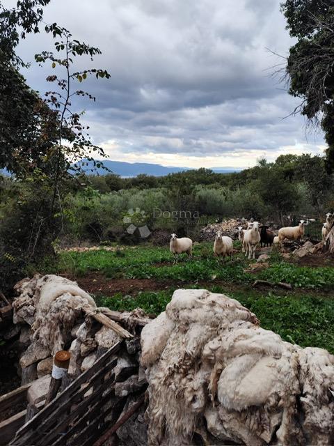 Zemljište Na prodaju - PRIMORSKO-GORANSKA KRK