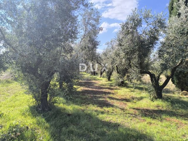 Land For sale - Istarska Pula - foto 2/9